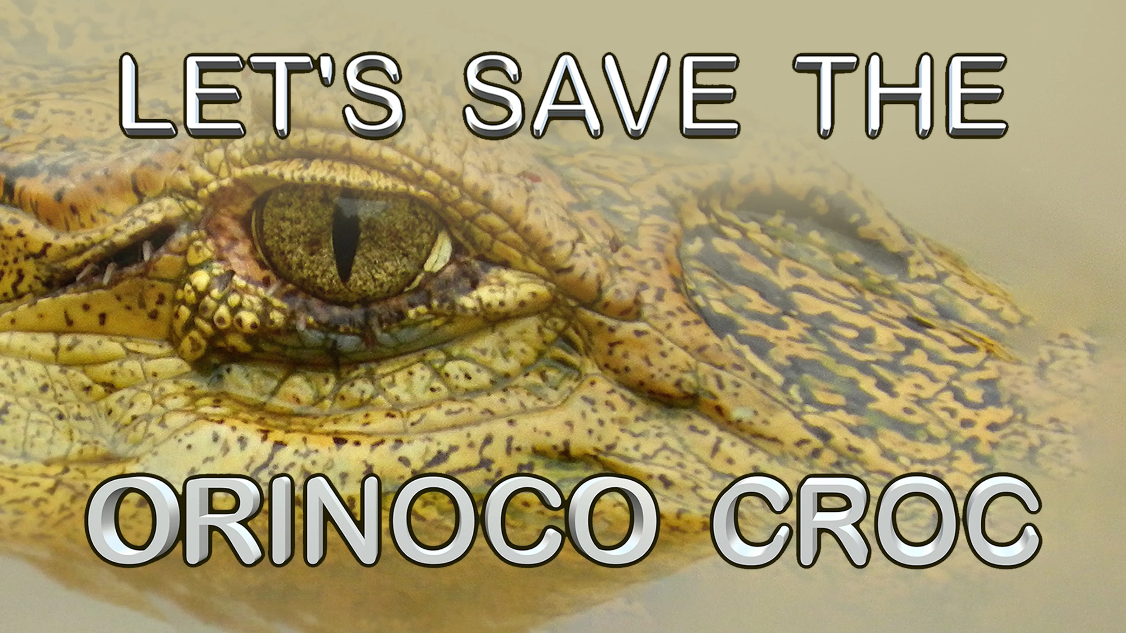 Let's Save the Orinoco Croc poster